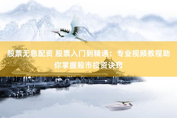 股票无息配资 股票入门到精通：专业视频教程助你掌握股市投资诀窍