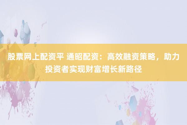 股票网上配资平 通昭配资：高效融资策略，助力投资者实现财富增长新路径
