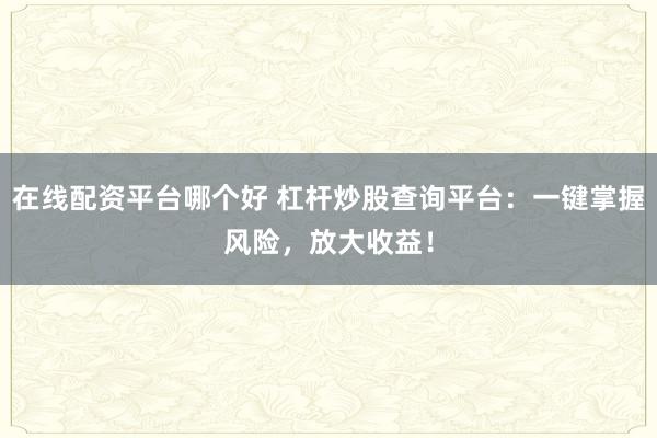 在线配资平台哪个好 杠杆炒股查询平台：一键掌握风险，放大收益！