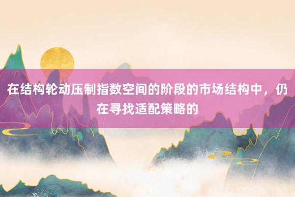 在结构轮动压制指数空间的阶段的市场结构中，仍在寻找适配策略的
