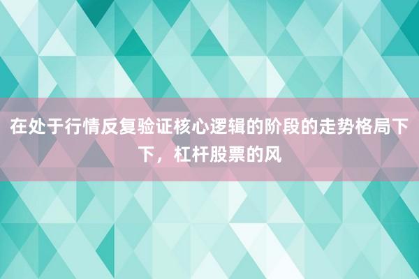 在处于行情反复验证核心逻辑的阶段的走势格局下下，杠杆股票的风