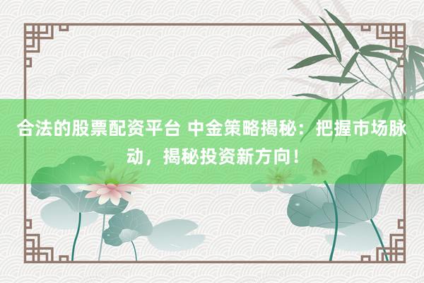 合法的股票配资平台 中金策略揭秘：把握市场脉动，揭秘投资新方向！